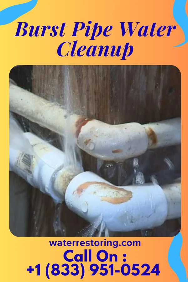 Burst Pipe Water Cleanup in Jamestown, NC