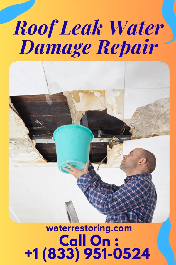 Roof Leak Water Damage Repair in Jamestown, NC