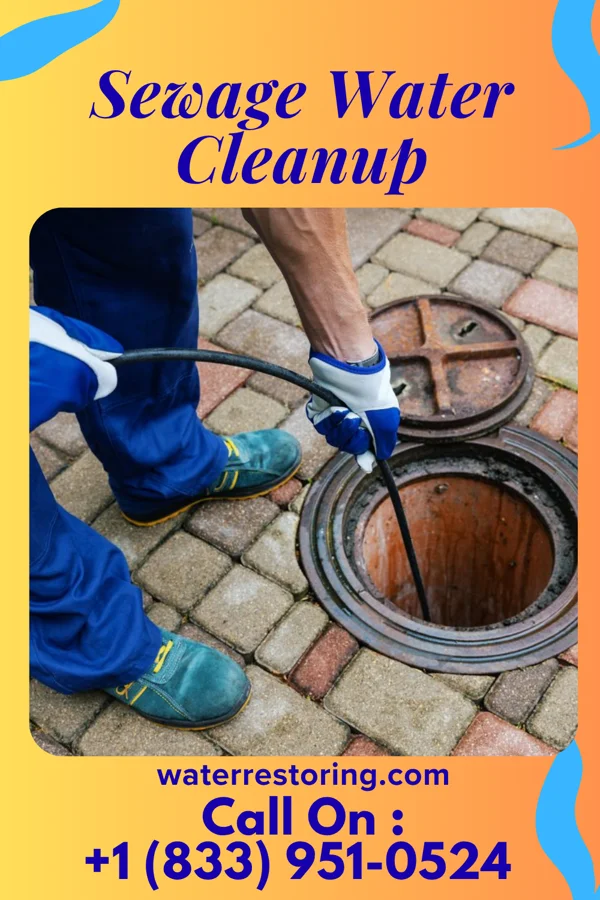 Sewage Water Cleanup in Jamestown, NC