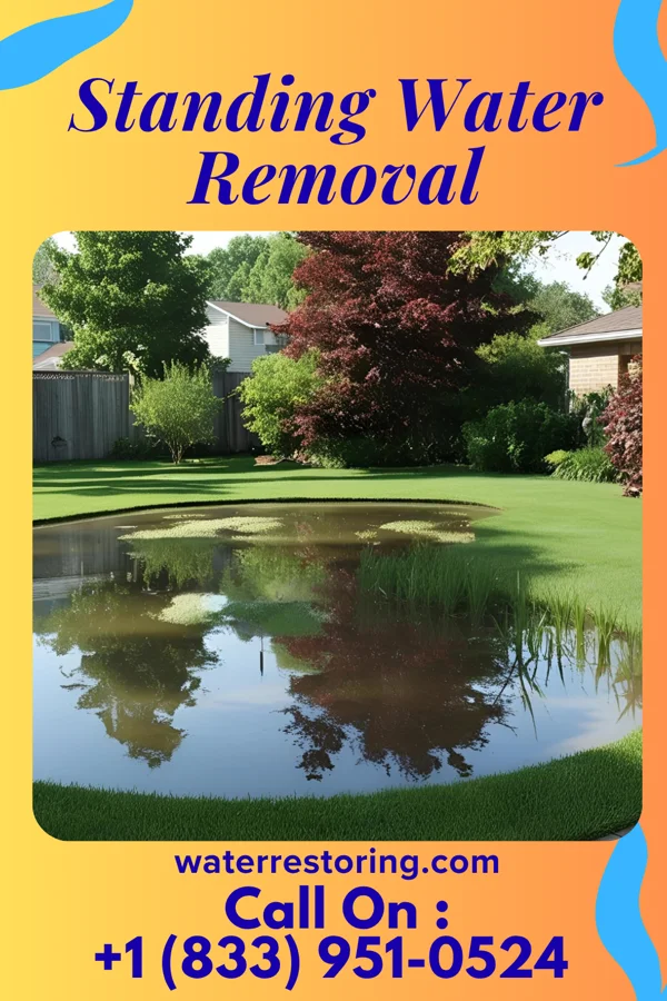 Standing Water Removal in Jamestown, NC